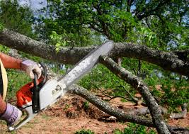 Best Commercial Tree Services  in Chubbuck, ID